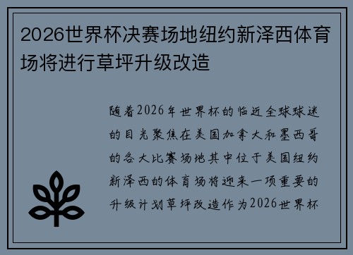 2026世界杯决赛场地纽约新泽西体育场将进行草坪升级改造
