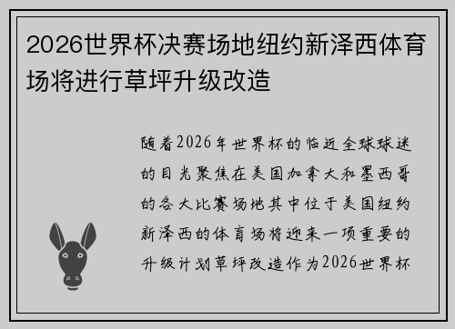 2026世界杯决赛场地纽约新泽西体育场将进行草坪升级改造